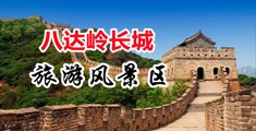 插进去疼啊啊啊在线观看中国北京-八达岭长城旅游风景区