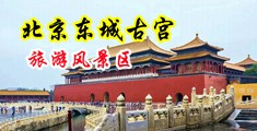 黑鸡巴操白女中国北京-东城古宫旅游风景区